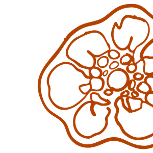 Untitled (500 x 500 px) (10)