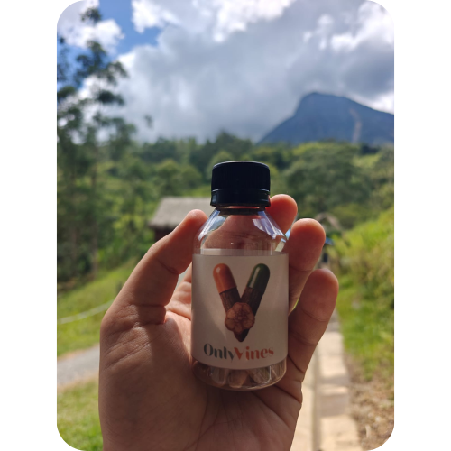 Untitled (500 x 500 px) (2)