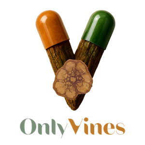 Untitled (500 x 500 px) (6)